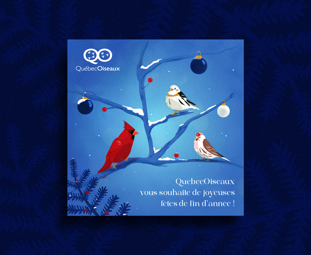 Illustration d'oiseaux pour carte de voeux 2023