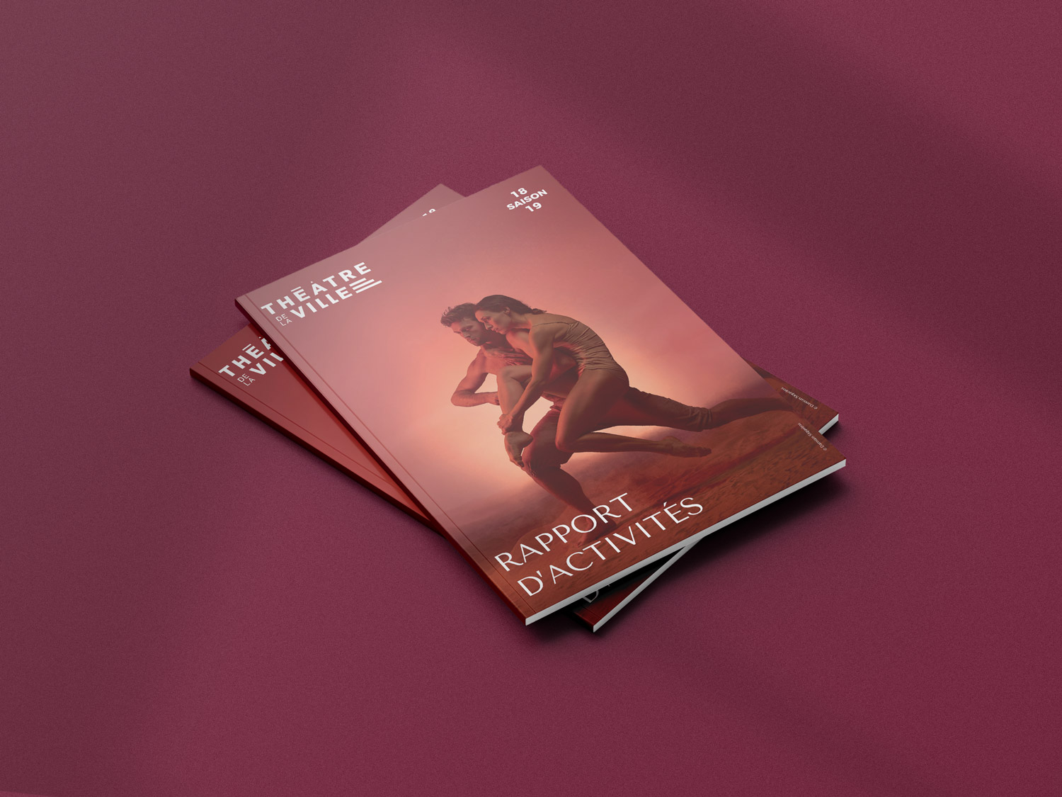 Editions Rapport d'activités TDLV Longueuil 2019