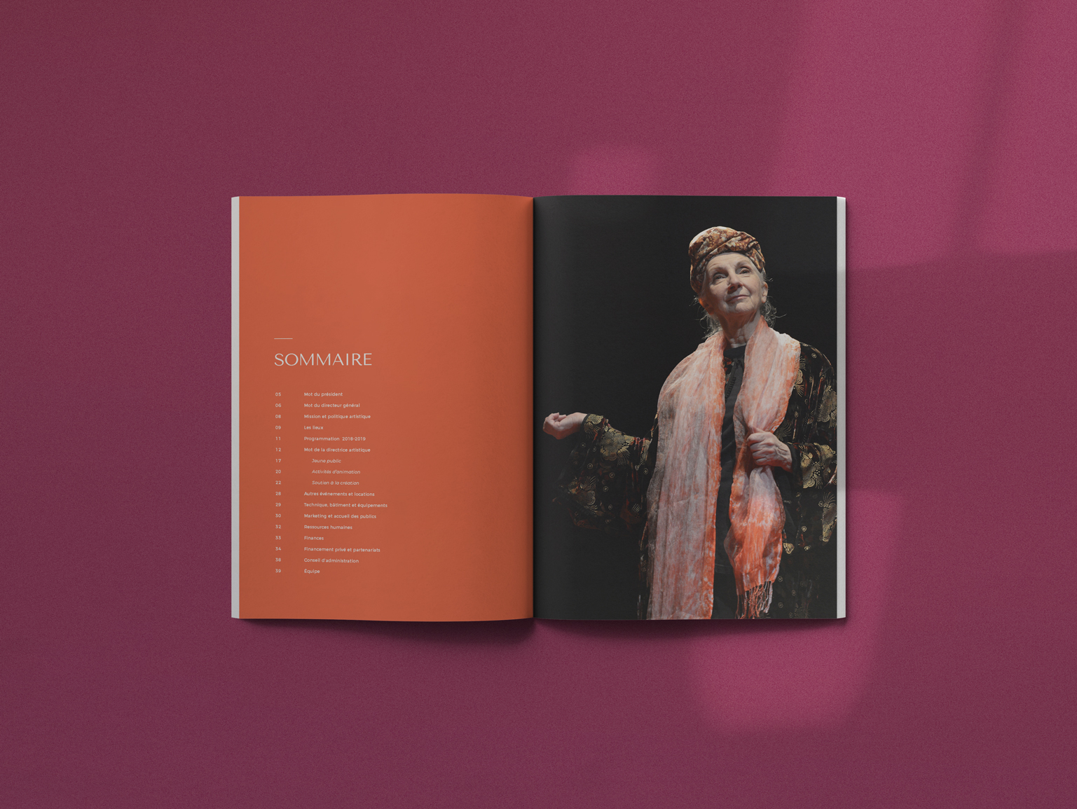 Editions intérieur Rapport d'activités TDLV Longueuil 2019