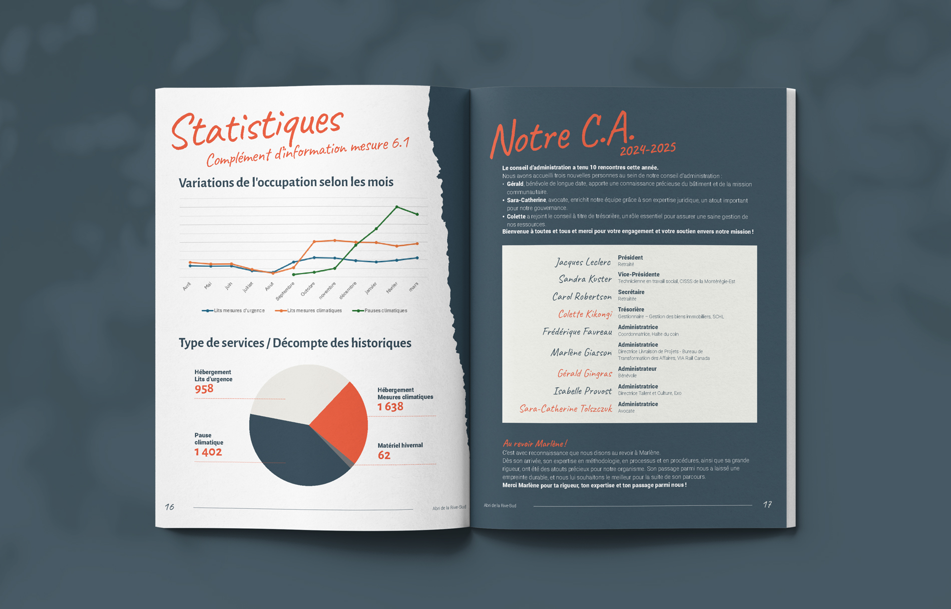 Rapport d'activités de l'Abri de la Rive-Sud 2025