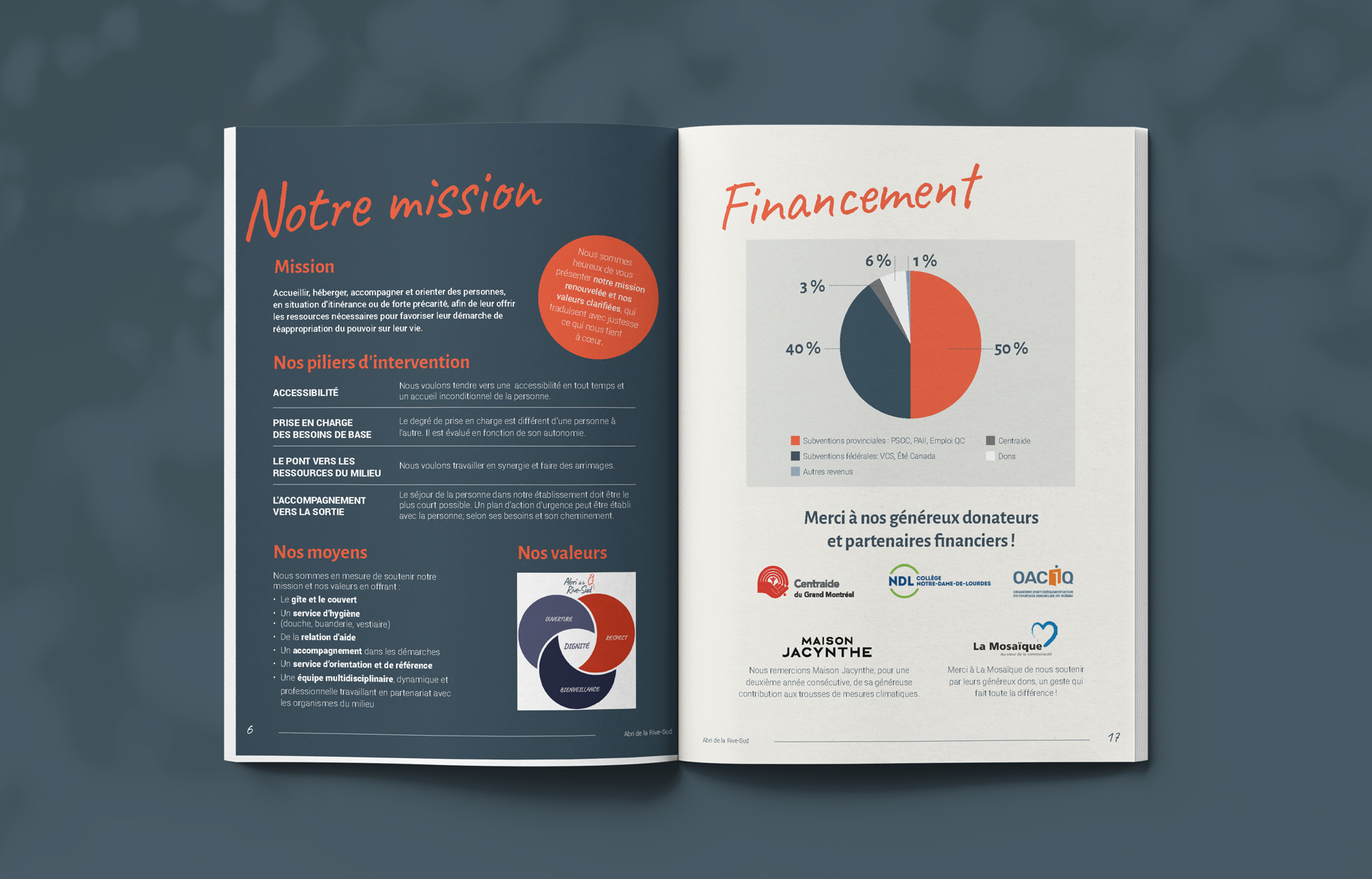 Rapport d'activités de l'Abri de la Rive-Sud 2025