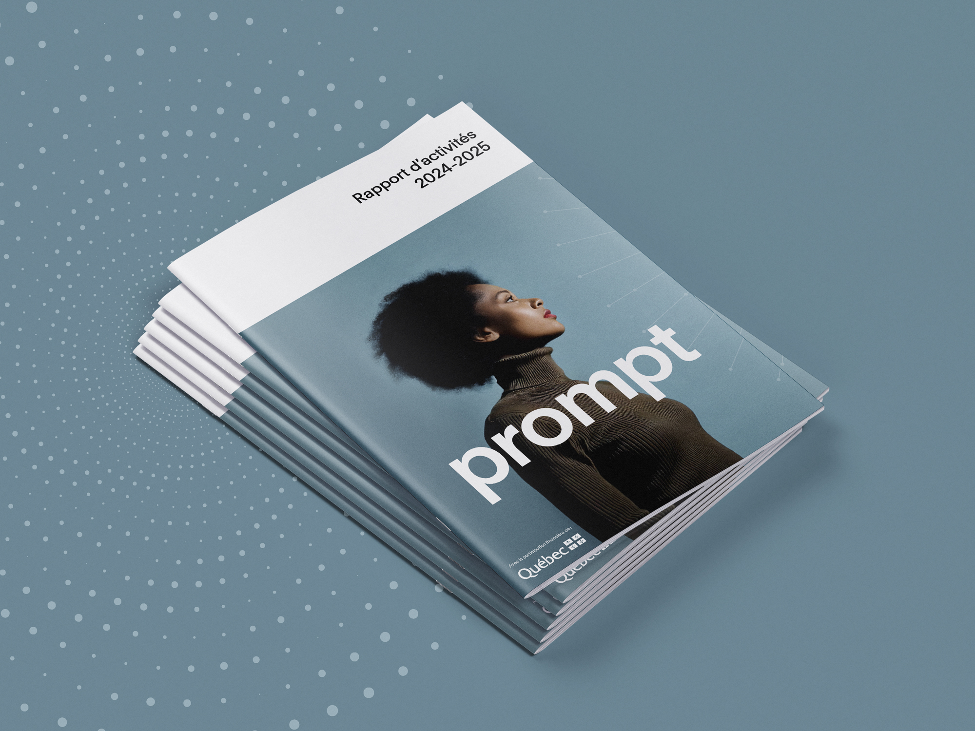 Rapports d'activités 2024-2025 Prompt