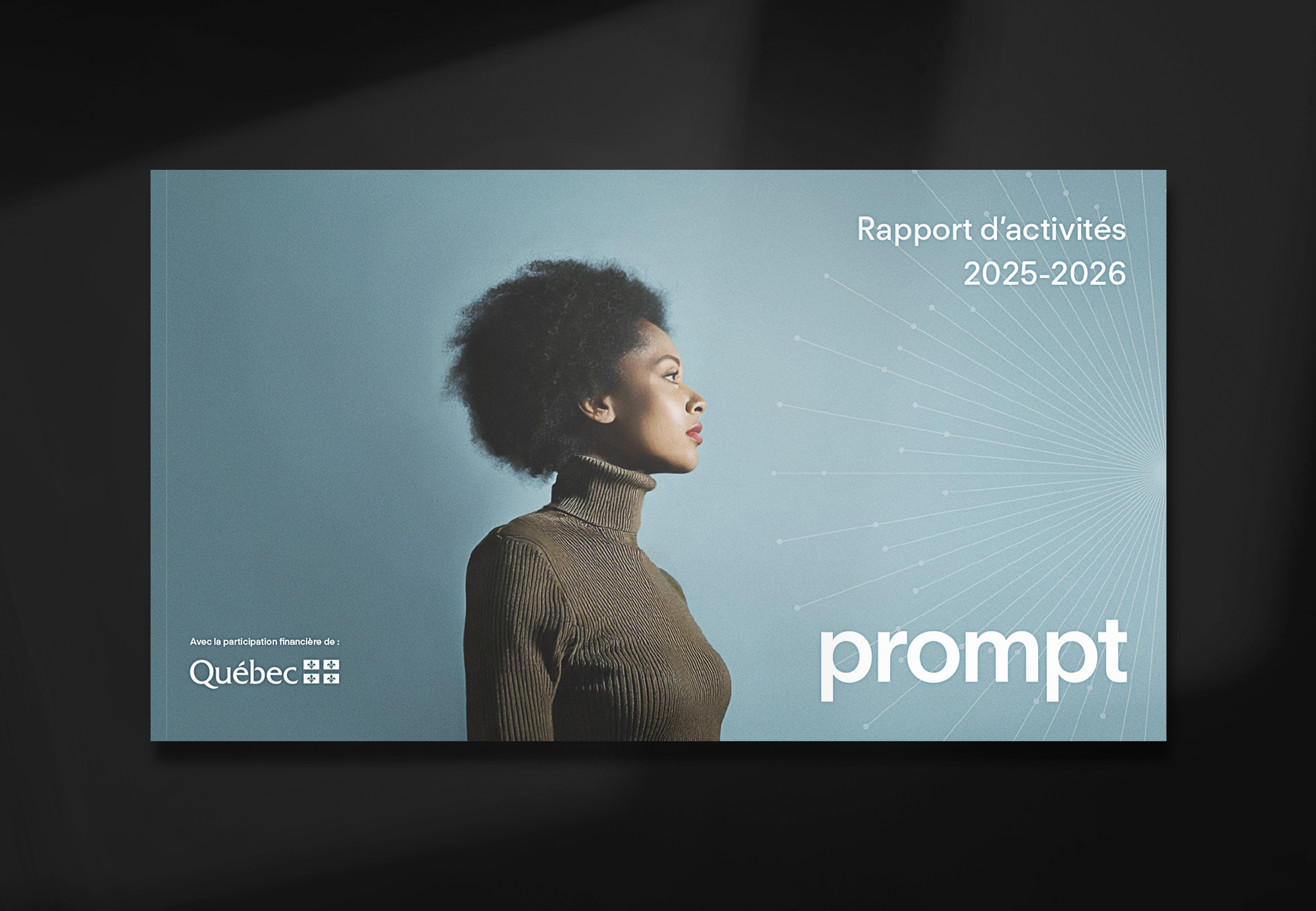 Rapports d'activités 2024-2025 Prompt