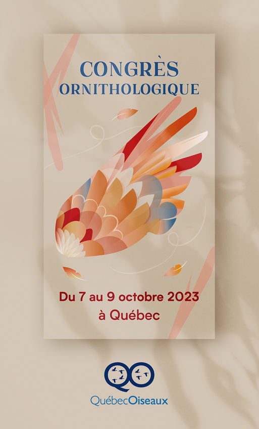 Carte de voeux QuébecOiseaux 